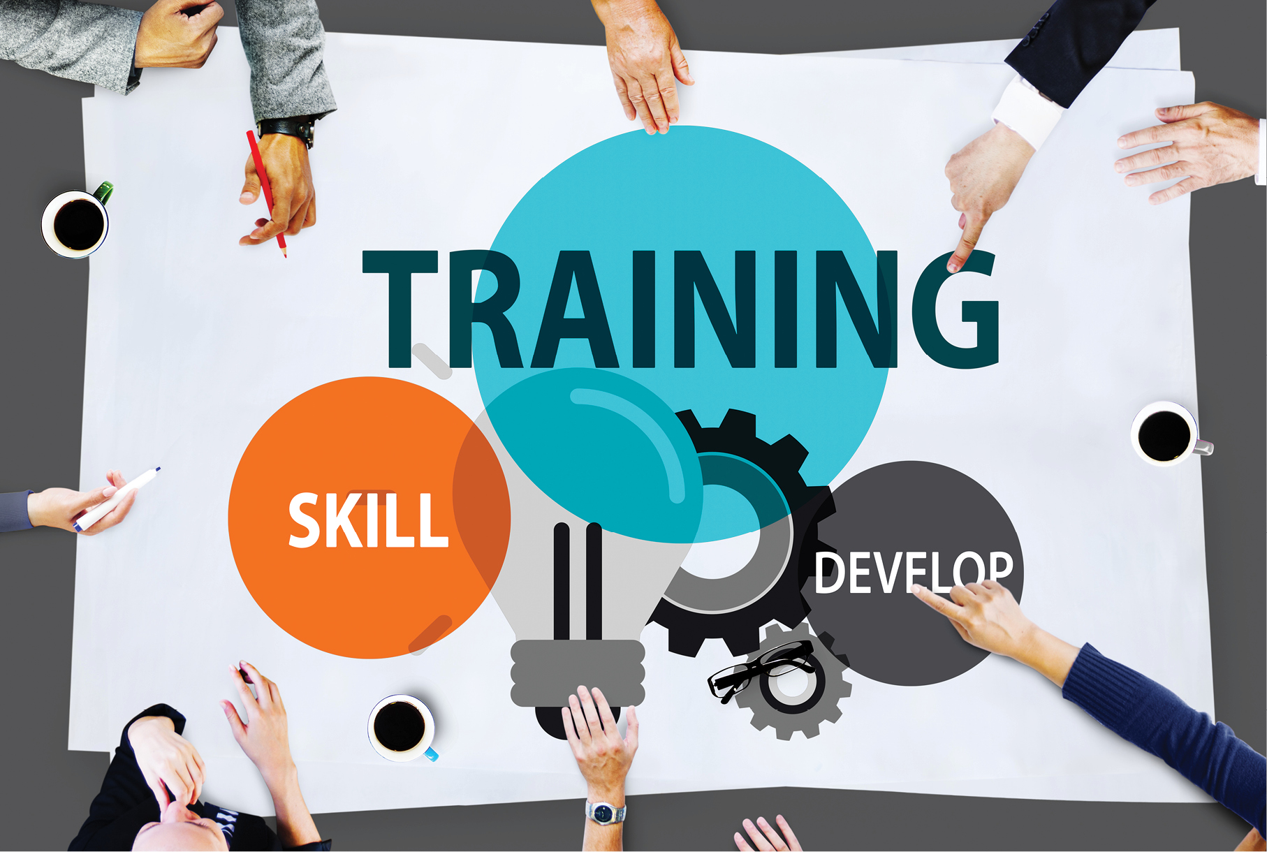 What Is Training In Training And Development